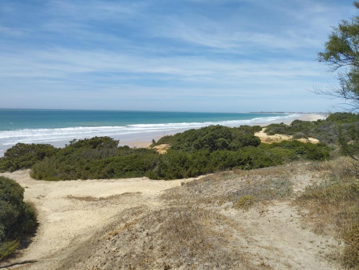 En La Zona Mas Tranquila Del Novo Sancti Petri Lejlighed Chiclana de la Frontera Eksteriør billede